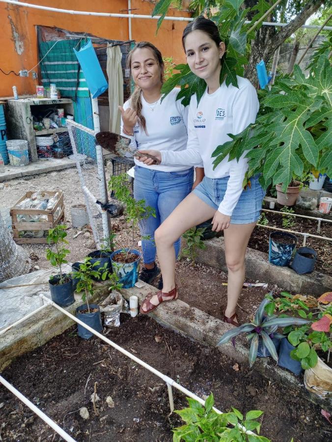 דירות קוזומל Sustainable Cabain מראה חיצוני תמונה